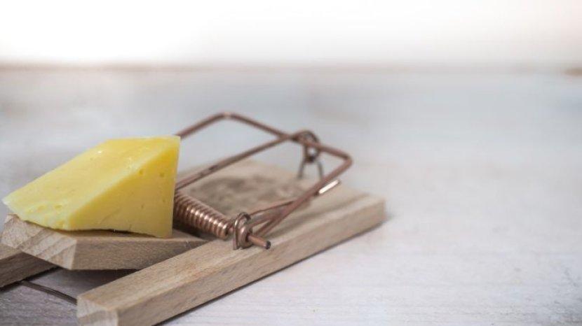 5 Jenis Makanan yang Bisa Dijadikan Umpan Tikus, Salah Satunya Selai Buah