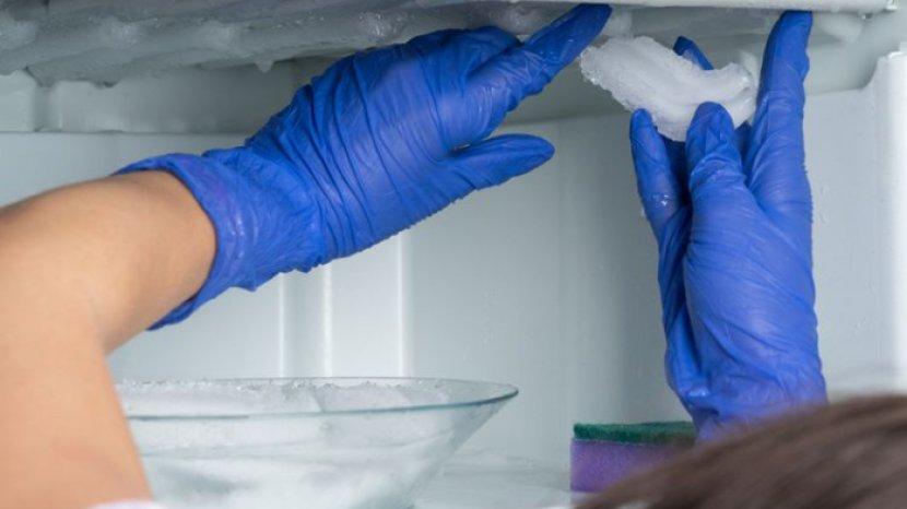 7 Tips Mudah Membersihkan Bunga Es Secara Efektif, Hilang Menyeluruh