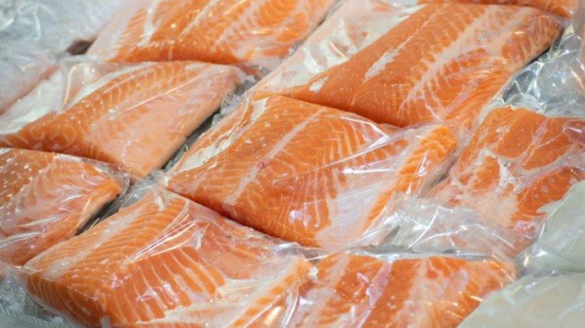 5 Tips Menyimpan Ikan Salmon Supaya Nutrisi Tidak Hilang, Jangan Asal Bekukan Freezer