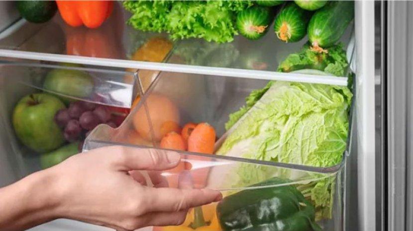 5 Tips Menyimpan Sayuran di Kulkas agar Lebih Awet dan Tidak Cepat Busuk, Perlukah Dicuci Dulu?