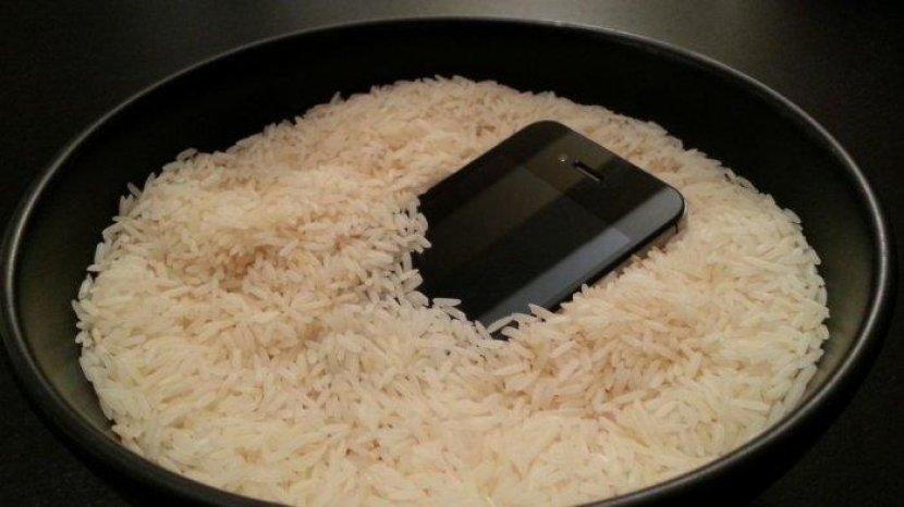 Ternyata Beras Tak Cukup Handal untuk Selamatkan HP yang Terendam Air, Ini Penjelasannya