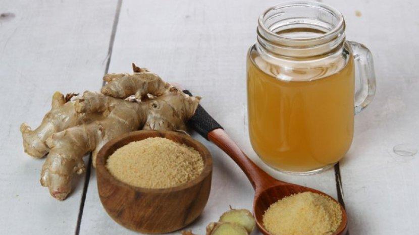 Mudik Bebas Mual dengan Konsumsi 5 Makanan dan Minuman