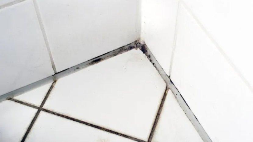 5 Tips Mengatasi Jamur Hitam di Nat Keramik Kamar Mandi, Tuntas dalam Sekali Sikat