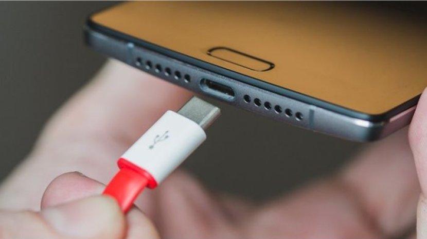 ilustrasi-pemakaian-usb-type-c.jpg