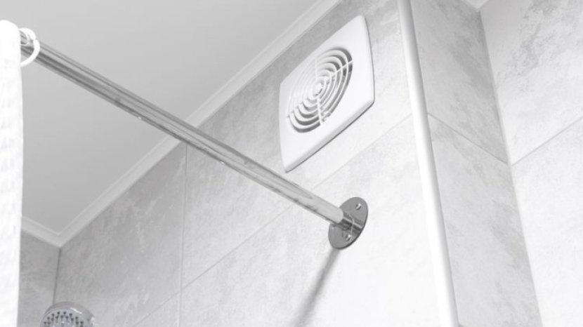 5 Tips Mengatasi Masalah Jamur di Kamar Mandi