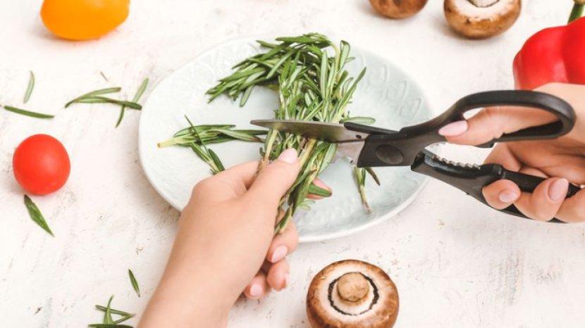5 Rekomendasi Gunting Dapur, Lebih Fungsional untuk Memotong Aneka Bahan
