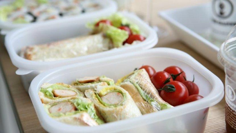ilustrasi-penggunaan-wadah-makanan-kedap-udara-untuk-membawa-bekal-mudik.jpg