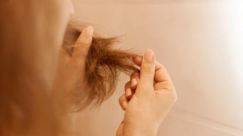 7 Penyebab Rambut Rusak dan Bercabang, Wanita Wajib Tahu