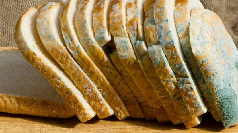 5 Tips Menyimpan Roti Tawar Agar Tidak Cepat Berjamur, Jangan Hanya Dibungkus Plastik