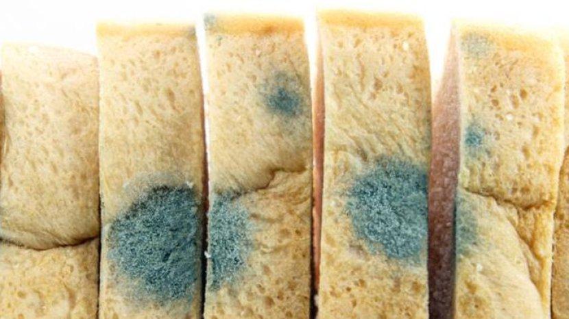 ilustrasi-roti-tawar-yang-mudah-berjamur-harus-disimpan-dengan-cara-tepat.jpg
