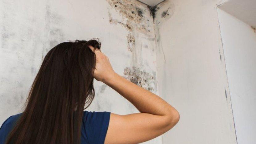 6 Cara Mengatasi Kelembapan Berlebih di Dalam Rumah, Jamur Dijamin Menjauh