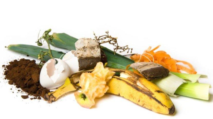 8 Sampah Dapur yang Bisa Menjadi Pupuk Alami untuk Tanaman Hias, Termasuk Kulit Pisang