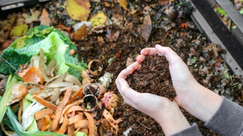 ilustrasi-sampah-dapur-yang-bisa-menjadi-pupuk-alami-untuk-tanaman.jpg