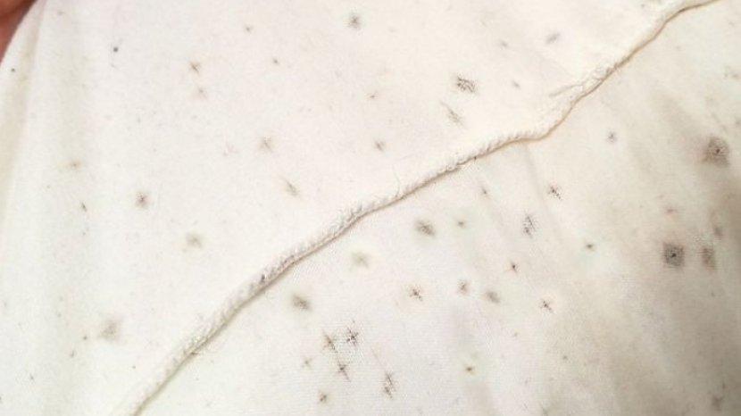 6 Tips Mencuci Sarung Bantal yang Dekil dan Penuh Bintik Hitam, Kembalikan Tampilan Barunya