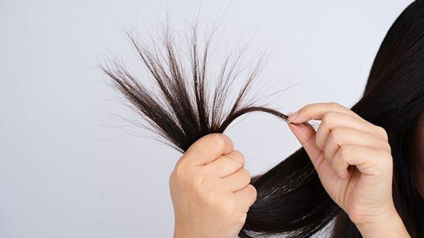 5 Tips Mengatasi Rambut Bercabang dengan Mudah, Tanpa Perlu Dipotong