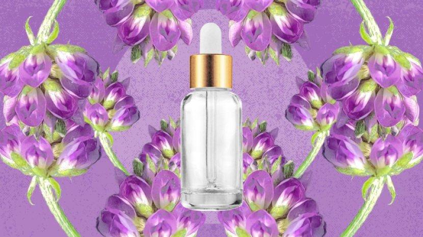 ilustrasi-serum-bakuchiol.jpg