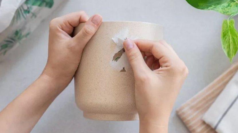 5 Tips Melepas Label pada Wadah Plastik Tanpa Menyisakan Noda