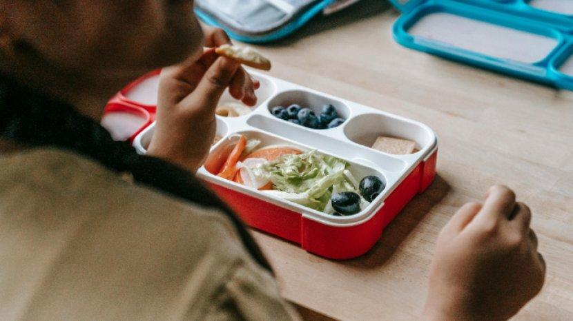 ilustrasi-tempat-makan-berbahan-plastik.jpg