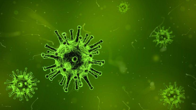Mudah Tingkatkan Imun Tubuh Agar Terhindar dari Virus dengan Bahan Alami