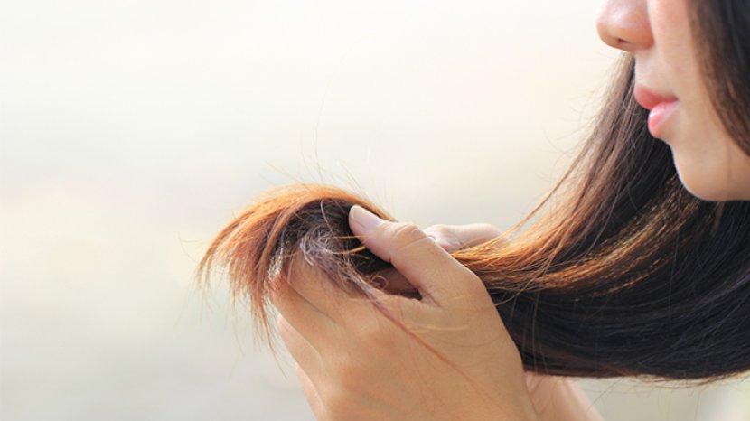 6 Cara Merawat Rambut Rusak dan Bercabang secara Alami tanpa Bahan Kimia