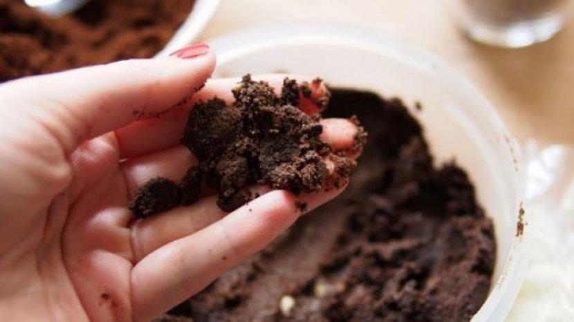 Bukan Sekedar Sampah, Ini 6 Manfaat Ampas Kopi untuk Keperluan Rumah Tangga