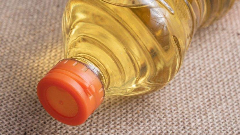 5 Tips Menyimpan Minyak Goreng Supaya Awet dan Bebas Tengik