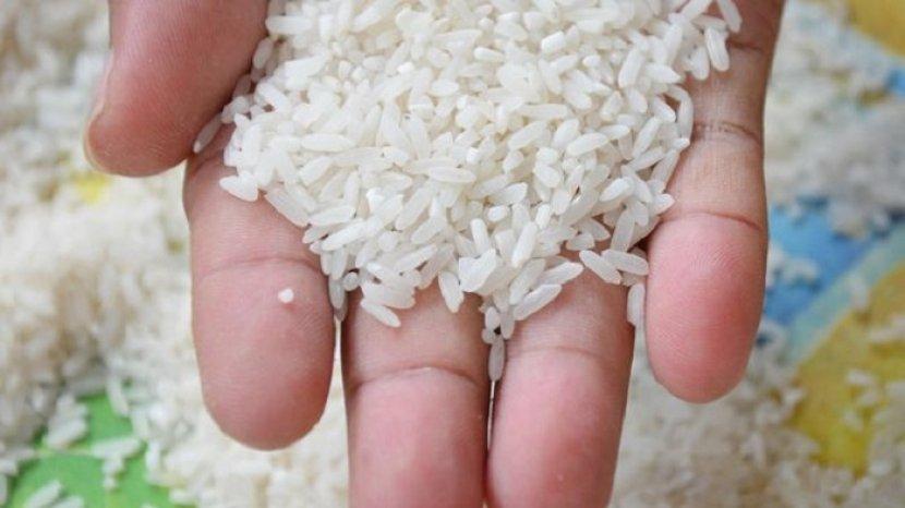 5 Cara Sederhana Mengusir Kutu Beras, Efektif dan Mudah