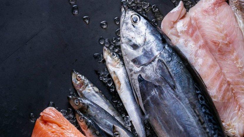 5 Bahan Alami untuk Menghilangkan Bau Amis Ikan Sebelum Diolah