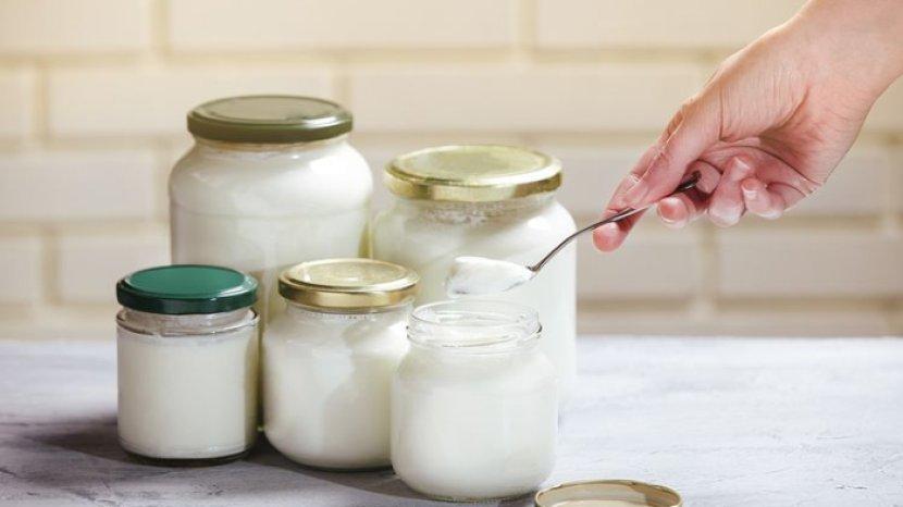 5 Tips Menyimpan Yoghurt Supaya Tidak Cepat Basi, Jangan Diletakkan di Bagian Pintu Kulkas!