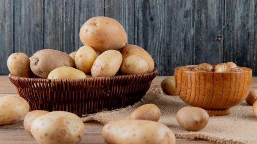 6 Tips Menyimpan Kentang Agar Awet Tidak Cepat Busuk dan Kehilangan Nilai Gizi