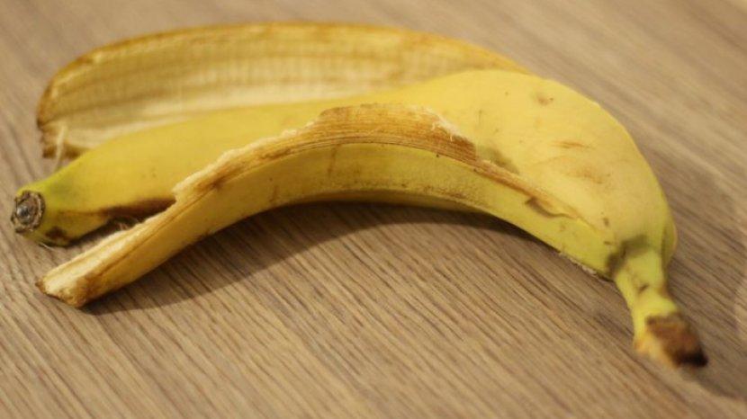 kulit-pisang-bisa-menjadi-pupuk-alami-untuk-tanaman.jpg