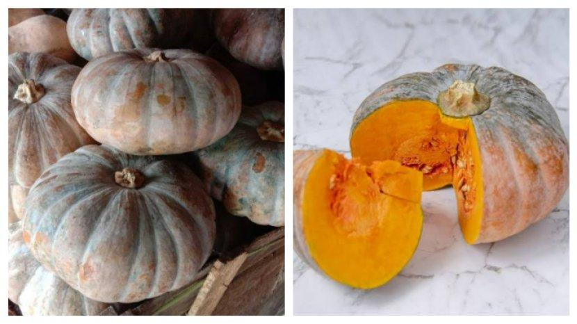 8 Khasiat Labu Kuning jika Dimakan setiap Hari, Baik untuk Daya Tahan Tubuh hingga Cegah Kanker