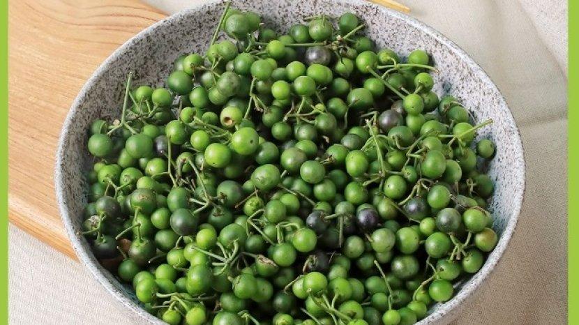 Leunca Jadi Lalapan Terkenal di Jawa Barat, Ternyata Menyimpan 9 Khasiat Menakjubkan Ini