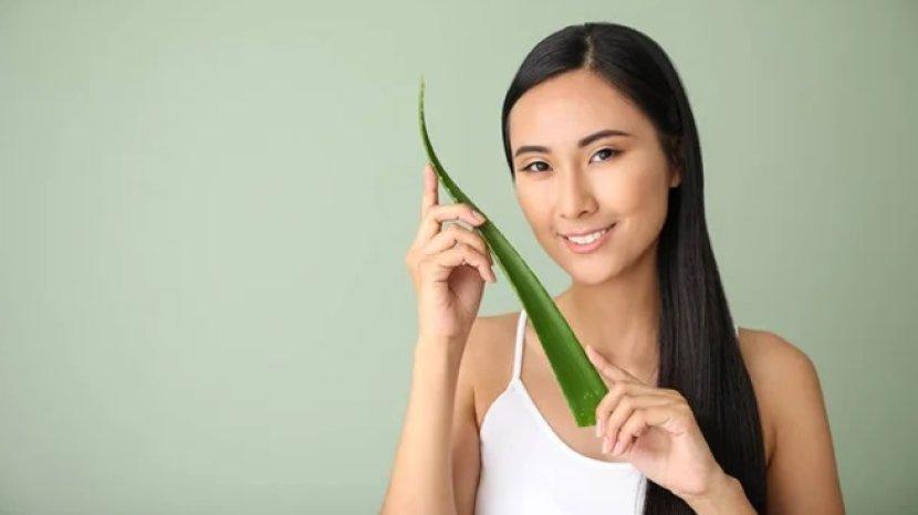 7 Manfaat Lidah Buaya untuk Rambut, Dari Melindungi Sinar UV hingga Cegah Kerontokan