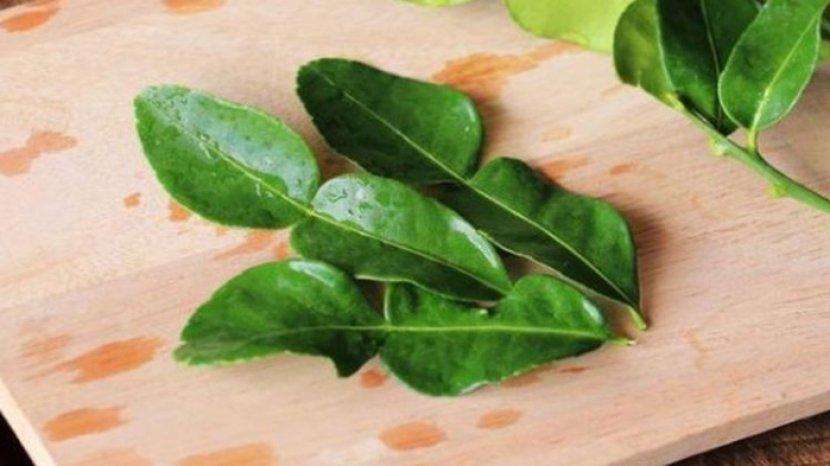 7 Manfaat Daun Jeruk Purut untuk Kecantikan, Bagus Buat Kulit dan Rambut