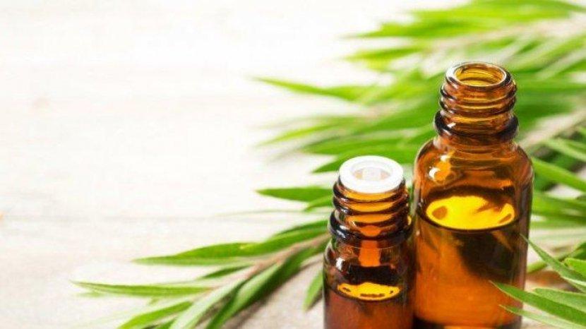 Manfaat Essential Oil dan 5 Jenis Diantaranya yang Mampu Mengatasi Masalah Kulit