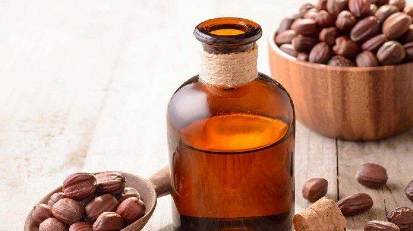 Intip 5 Manfaat Kandungan Jojoba Oil Pada Skincare