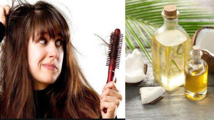 Simak 5 Manfaat Minyak Kelapa untuk Rambut