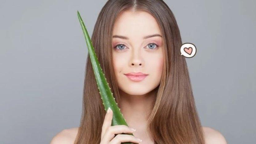 Rasakan Sensasi Kulit Tubuh Lembap dan Segar dengan BIO AQUA Aloe Vera