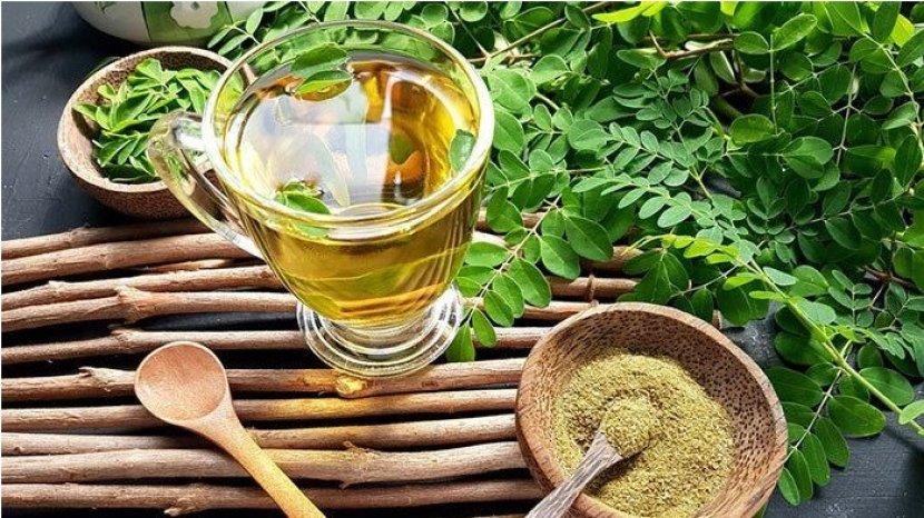 7 Manfaat Daun Kelor untuk Kesehatan Tubuh, Cepat untuk Menurunkan Kolesterol dan Kadar Gula Tinggi