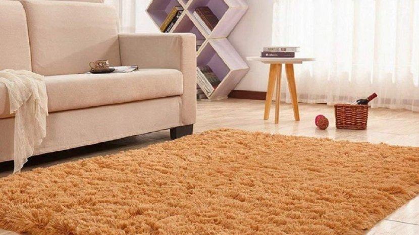 Cara Hilangkan Debu di Karpet dengan Mudah dan Cepat
