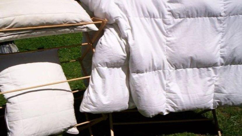 mengapa-penting-menjemur-kasur-bantal-dan-guling.jpg
