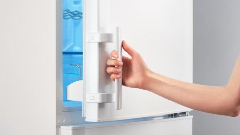 menutup-pintu-kulkas.jpg