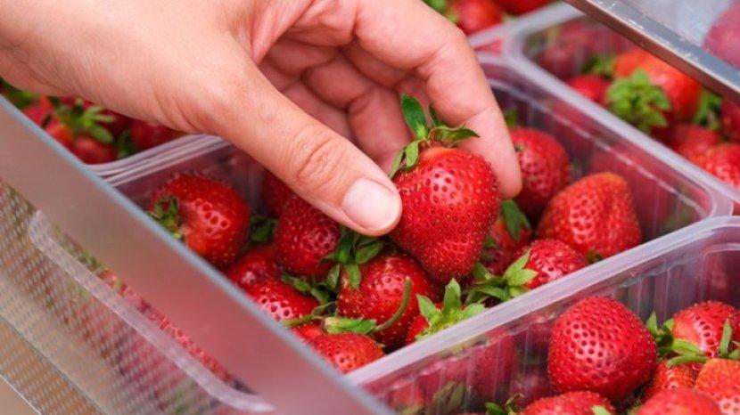 7 Tips Menyimpan Strawberry Supaya Tetap Segar Gak Gampang Busuk