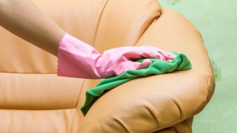 5 Tips Membersihkan Noda Jamur di Berbagai Jenis Bahan Sofa