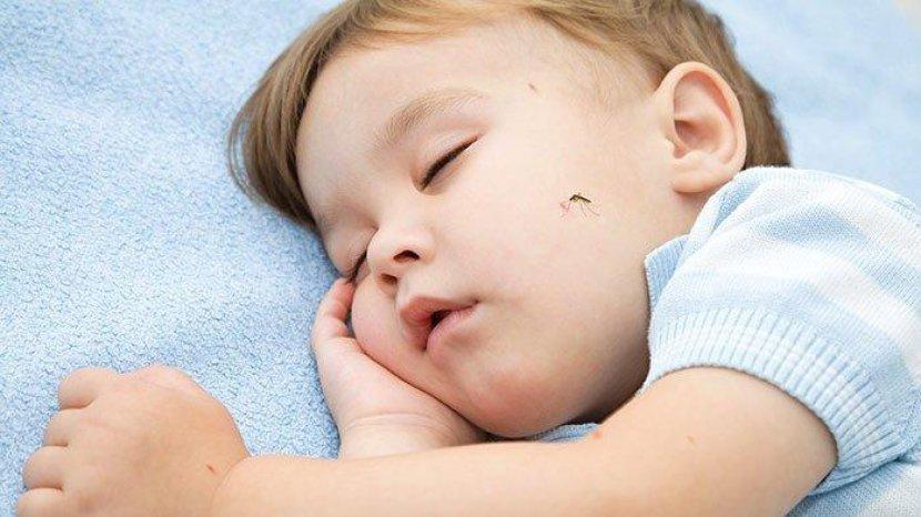 Rekomendasi 4 Produk Lotion yang Ampuh Cegah Gigitan Nyamuk pada Bayi