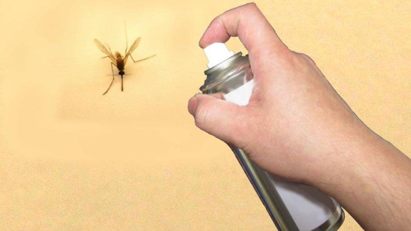Agar Maksimal, Ini Cara Tepat Gunakan Obat Nyamuk, Jenis Semprot, Lotion dan Listrik
