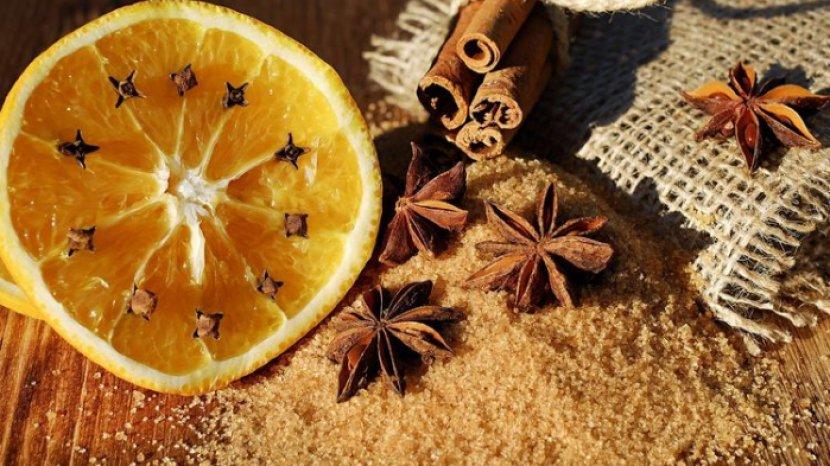 Aromanya Bikin Kabur, ini Cara Mudah Mengusir Lalat di Rumah Pakai Lemon, Cengkeh dan Lilin