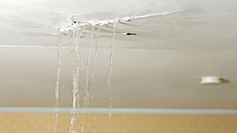 7 Cara Mengatasi Plafon Gypsum Bocor Saat Musim Hujan, Lakukan Sebelum Plafon Jebol