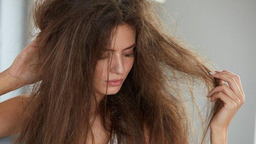 Rambut Kering Mengembang seperti Singa? Ini 40 Daftar Shampoo Terbaik untuk Mengatasinya
